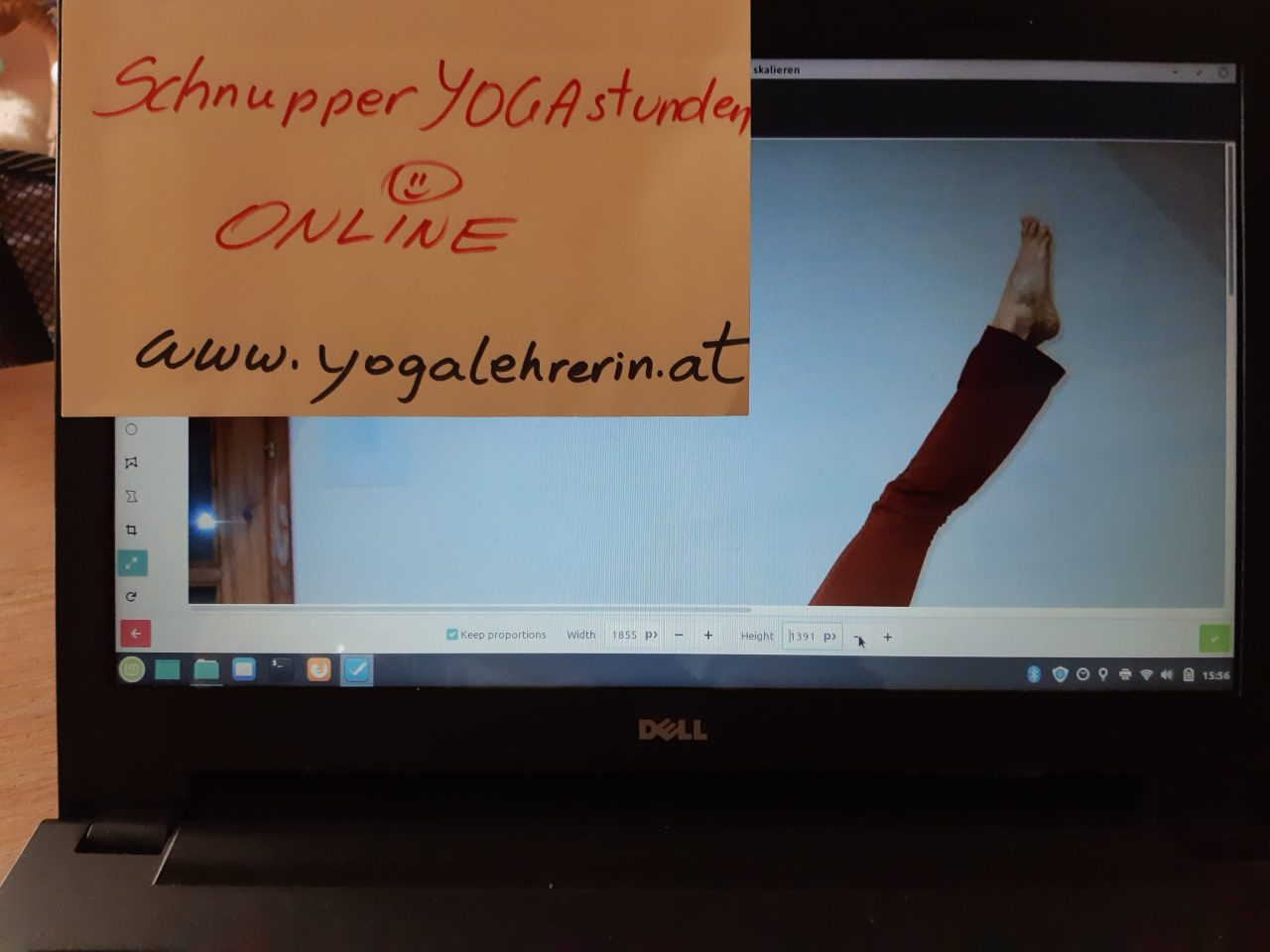 GRATIS-SCHNUPPERN beim ONLINE-YOGA